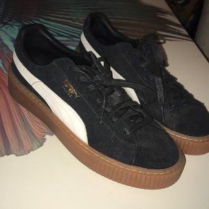 Black Puma creeper